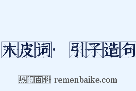 木皮词·引子造句是什么意思的图片